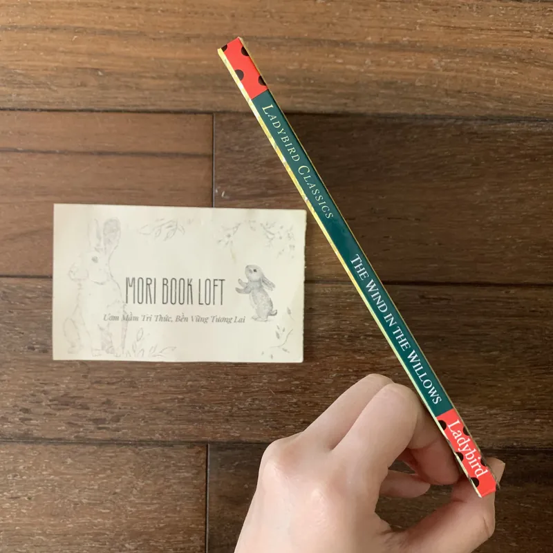 Sách ngoại văn The Wind in The Willow, Used, Bìa cứng 577040