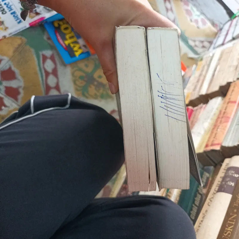 Đại Gia - Thiên Sơn 717085