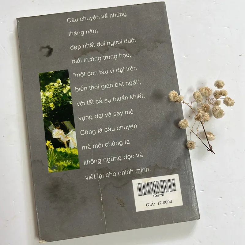 Tình yêu và tuổi trẻ – Valery Larbaud 596590