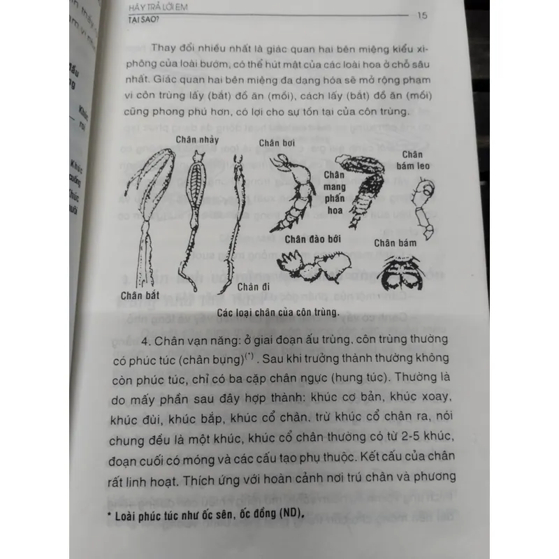 Hãy trả lời em? TẠI SAO?".
Tác giả của cuốn sách là Trình Bảo Xước và Trương Trọng Đức.
 703713