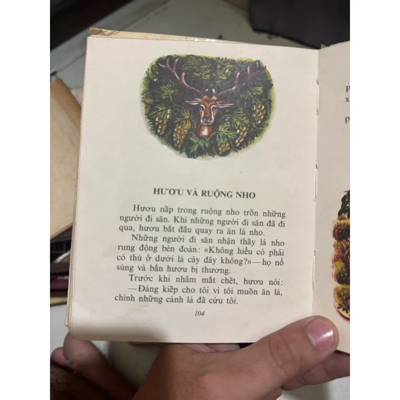 Kiến và chim bồ câu - nxb cầu vồng, sách in màu siêu đẹp  1011016