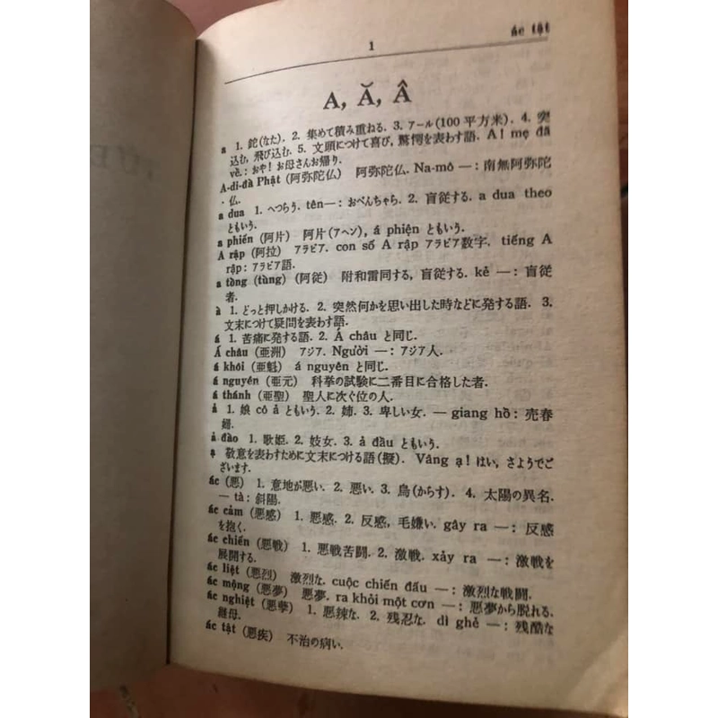 Sách Từ điển Việt Nhật 306346