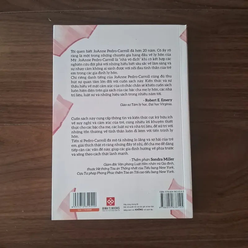 Nuôi dạy con sau đổ vỡ 557735