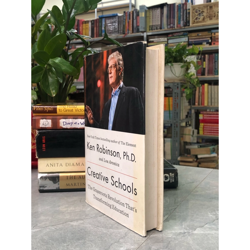 CREATIVE SCHOOLS – Ken Robinson and Lou Aronica 356846