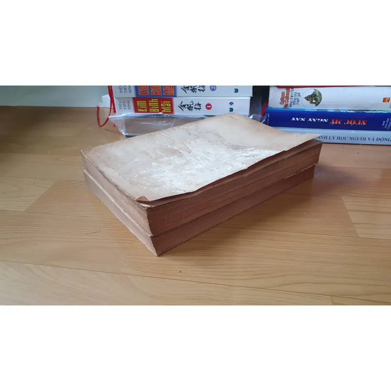 ĐỊA CHÍ VĂN HÓA TPHCM  762398