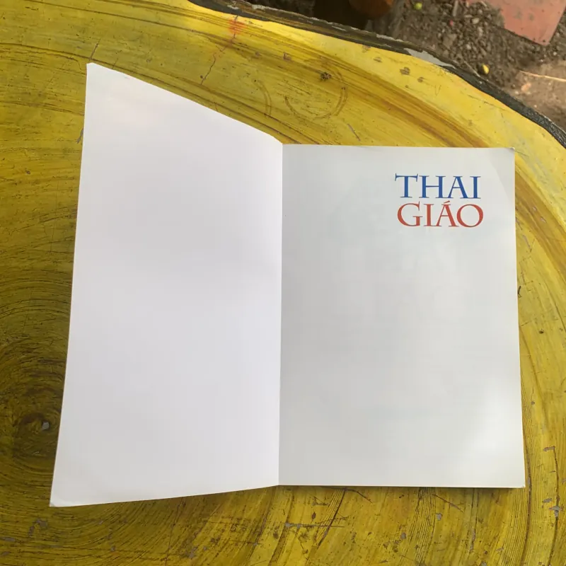 COMBO LẦN ĐẦU LÀM MẸ & THAI GIÁO PPKH DẠY CON TỪ TRONG BỤNG MẸ 958009