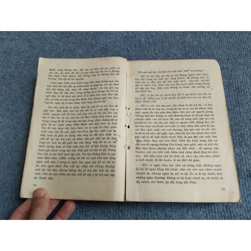 HƠN NỬA ĐỜI HƯ - VƯƠNG HỒNG SỂN 701931