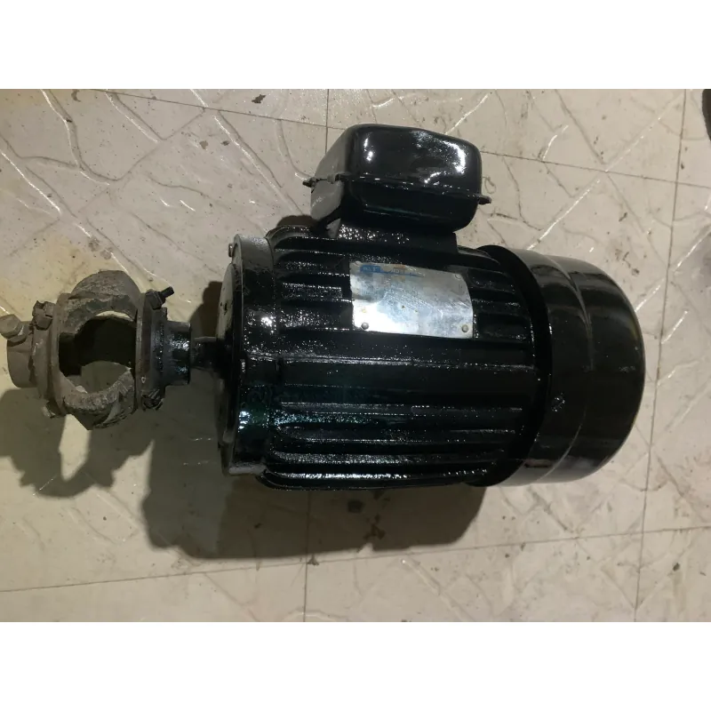 Động cơ điện công nghiệp 3HP kiểu trục ngang đen bóng 715671