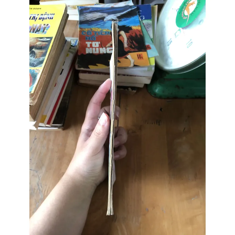 Dũng sĩ Đam Dông-truyện tranh 973853