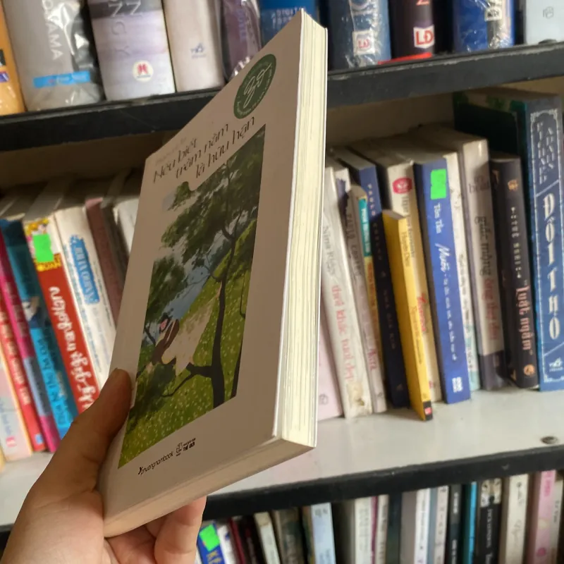 Nếu biết trăm năm lăm hữu hạn  796511