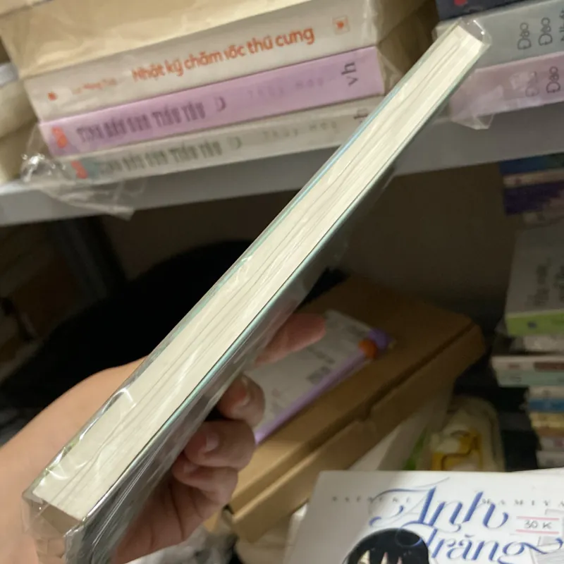 Bạn trai bản giới hạn - Ikumisa 970342