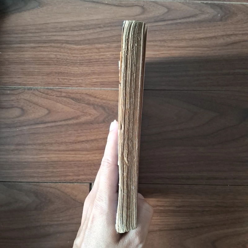 Sa bẫy của nàng 525022