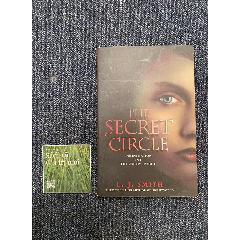 The secret circle 382199