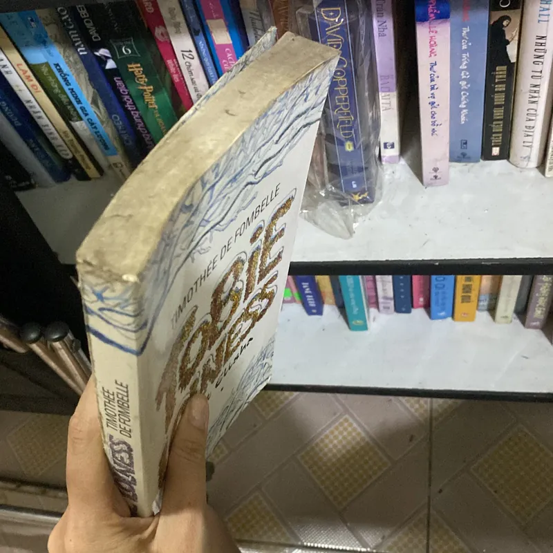 Tobie Lolness đôi mắt Elisha  716606