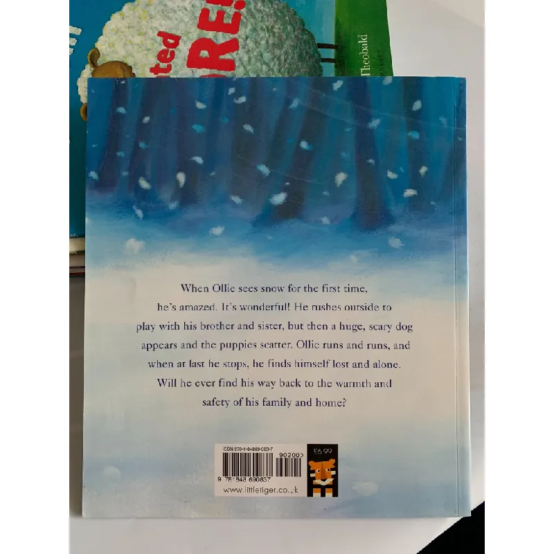 Lost in the Snow – Linda Jennings & Alison Edgson 561173