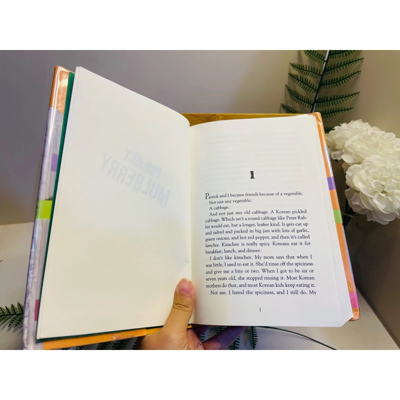 [Sách 2hand từ US] Like new 90% - Project Mulberry – Linda Sue Park 475226