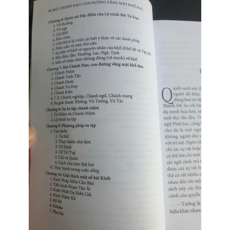 Bát Chánh Đạo - Con Đường Vắng Mặt Khổ Đau 696898