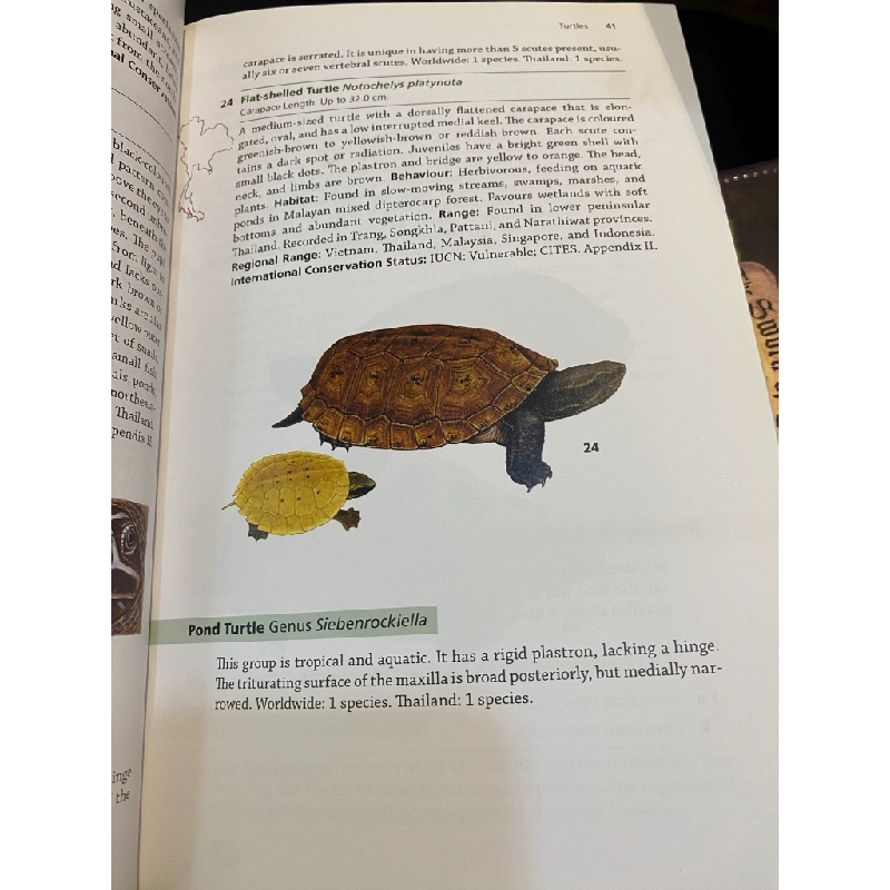 A Field Guide to the Reptiles of Thailand - Tanya Chan-ard & John W.K. Parr 448900