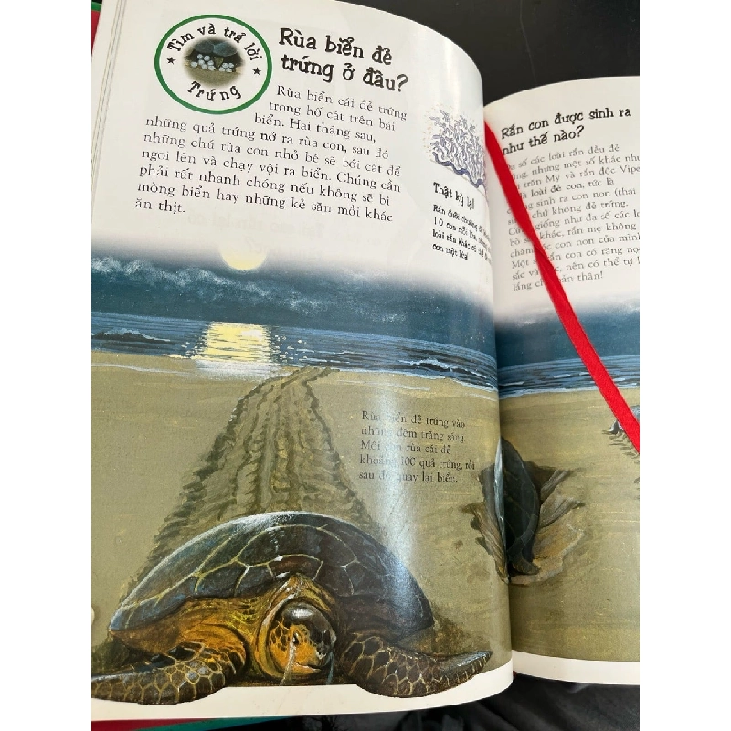 Khám phá thế giới đông vật 782770