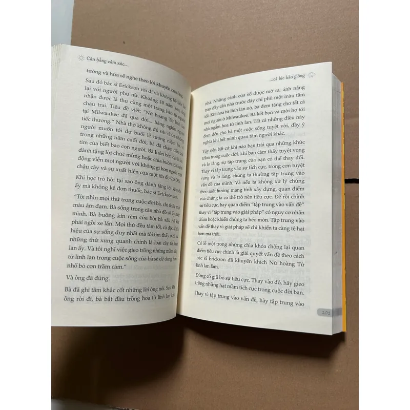 Cân bằng cảm xúc cả lúc bão giông 604888