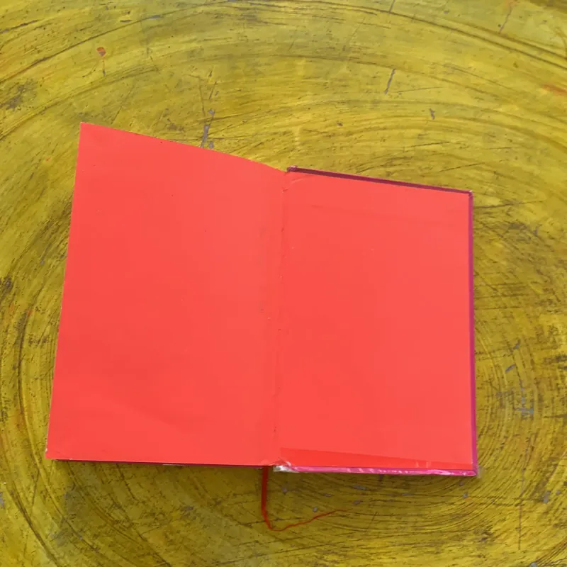 TUỔI THƠ DỮ DỘI - PHÙNG QUÁN 956988