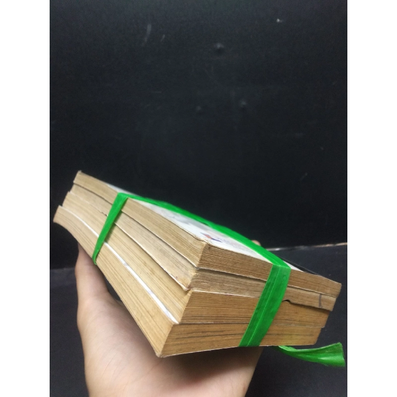 Bộ 4 cuốn (tập 2, 6, 11, 12) Vua Shaman - Hiroyuki Trkei mới 70% ố vàng văn học 914018