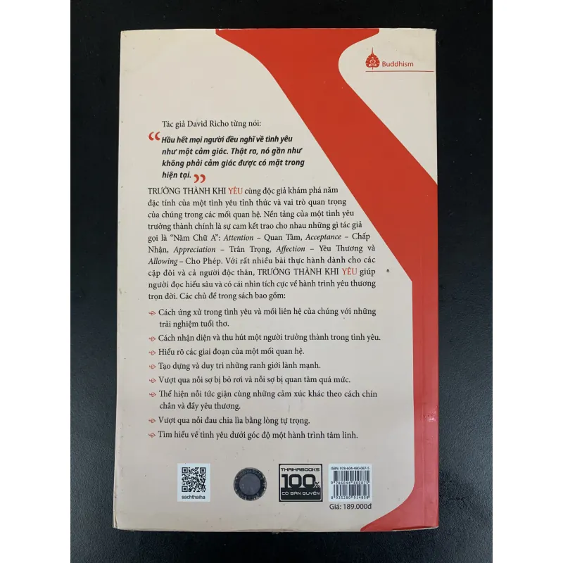 (Sách cũ) Trưởng thành khi Yêu - David Richo - Trâm Vũ dịch  931109