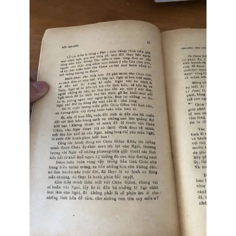 Đời Tận Hiến 1028154