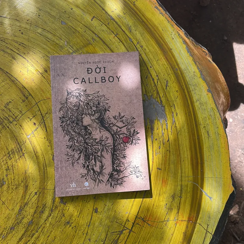 ĐỜI CALLBOY- (3)- NGUYỄN NGỌC THẠCH 706853