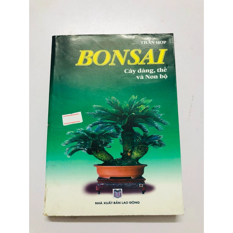 BONSAI CÂY DÁNG, THẾ VÀ NON BỘ 447857