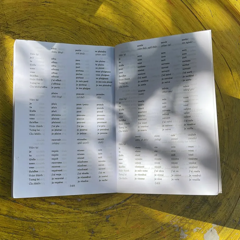 HƯỚNG DẪN HỌC TIẾNG PHÁP CHO NGƯỜI MỚI BẮT ĐẦU- ÁNH NGA 686904