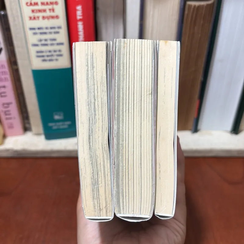 II Truyện Tranh: HỒ SƠ ONE PIECE - EIICHIRO ODA - 2019 731621