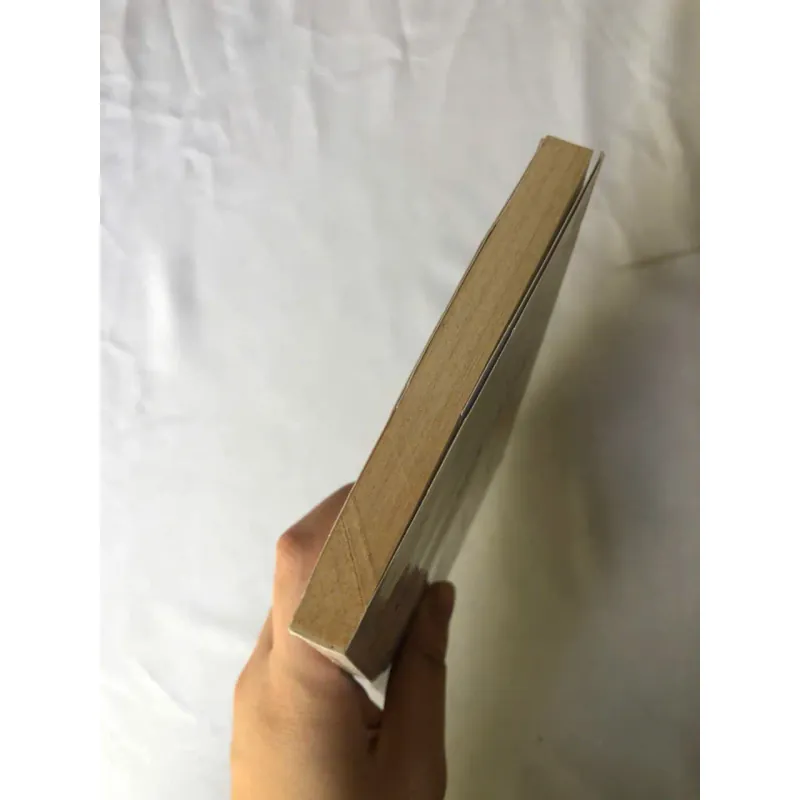 Chiếc Dương Cầm Vô Giá - Trương Thiết Thành 977453