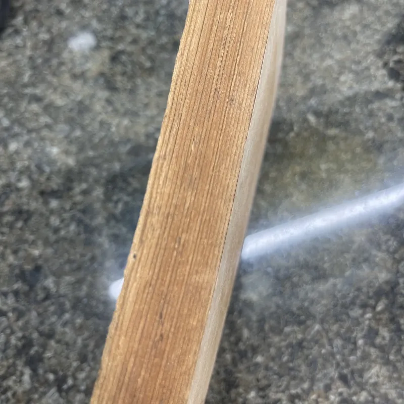 Gia đình má Bảy Phan Tứ xb1975 758422