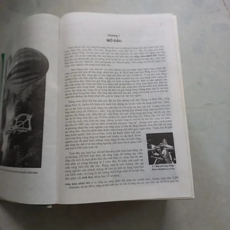 Từ điển bách khoa sinh học 976990