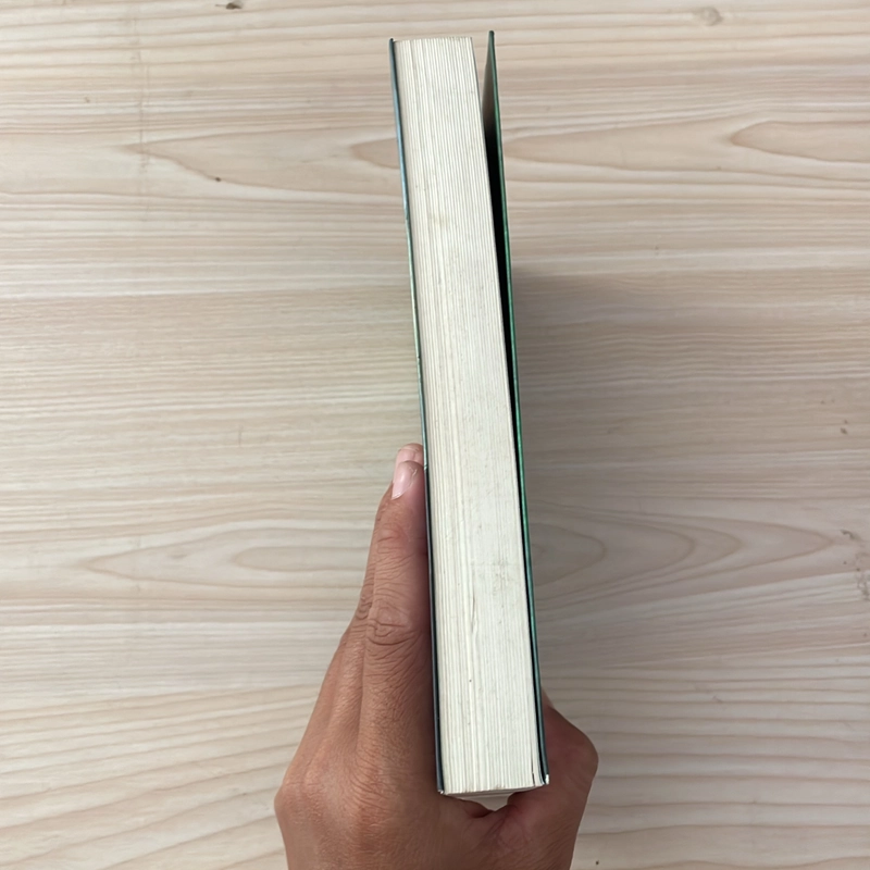 II Trinh Thám: Cô Gái Trên Tàu - PAULA HAWKINS - 2015 548464