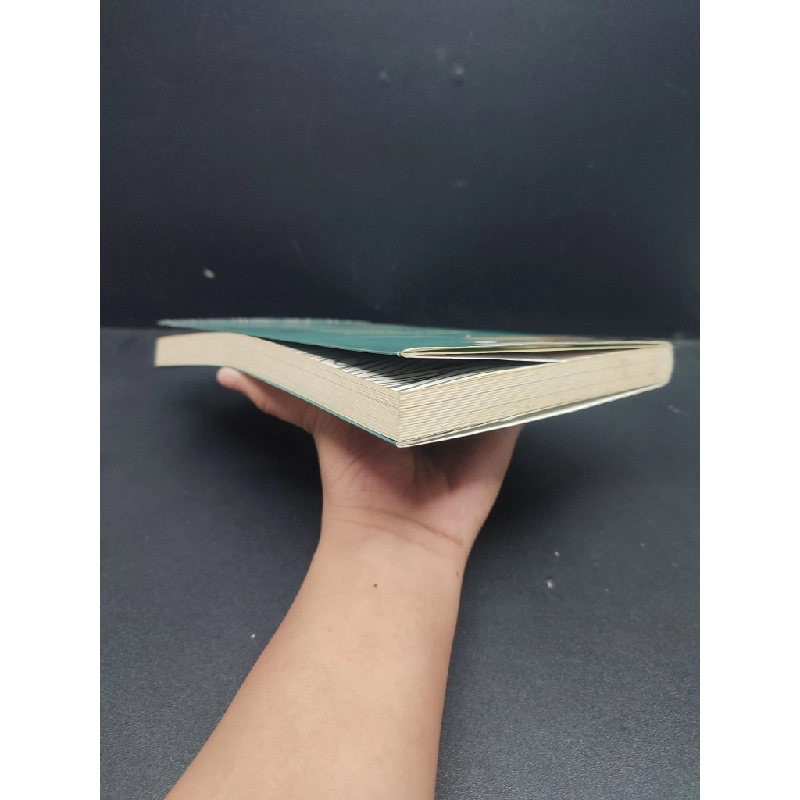 Trần Khánh Dư Tiểu Thuyết Lịch Sử mới 80% ố nhẹ 2016 HCM2606 Lưu Minh Sơn VĂN HỌC Oreka-Blogmeo 174786