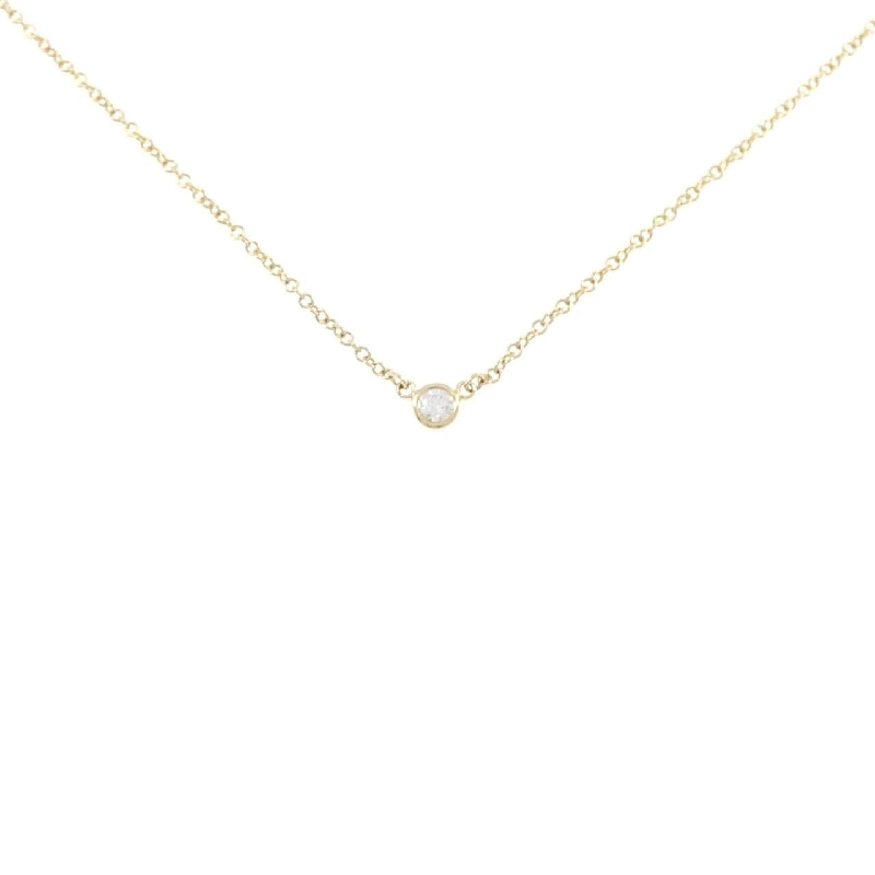 Dây chuyền Tiffany By The Yard - Hàng hiệu Authentic 841877