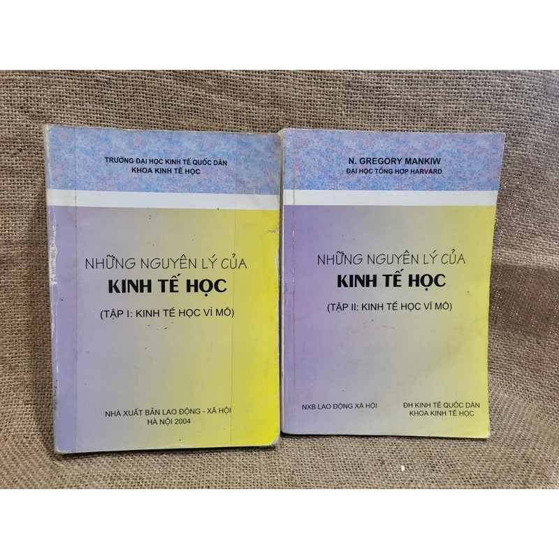 Những nguyên lý của kinh tế học (Kinh tế học vi mô và Kinh tế học vĩ mô) 301556