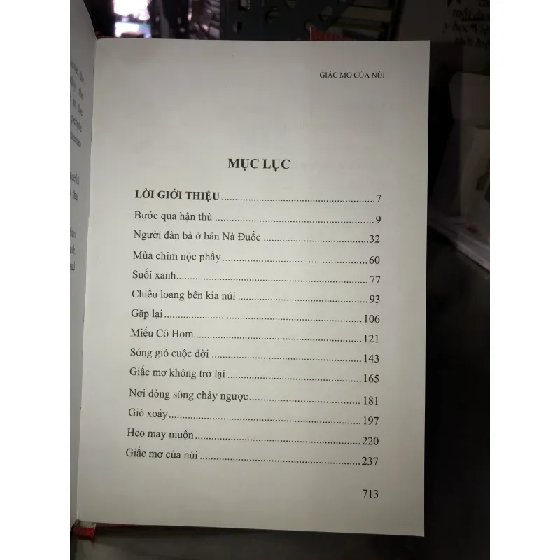 Giấc mơ của núi - Đoàn Ngọc Minh 779022