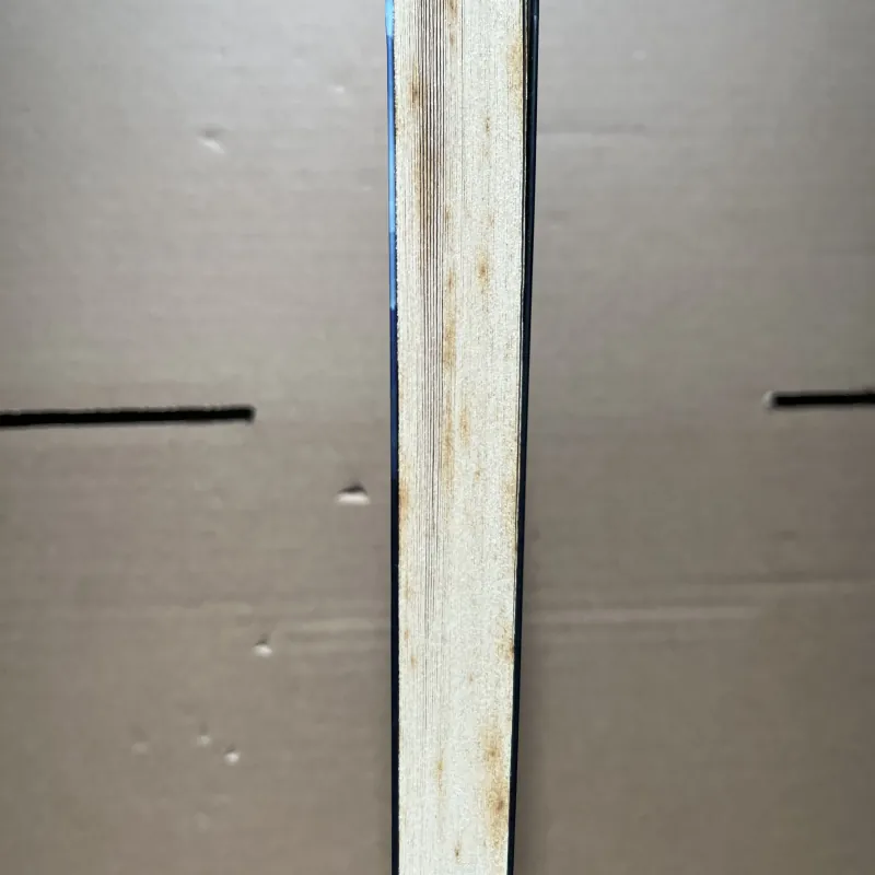 bên rặng tuyết sơn 1030324