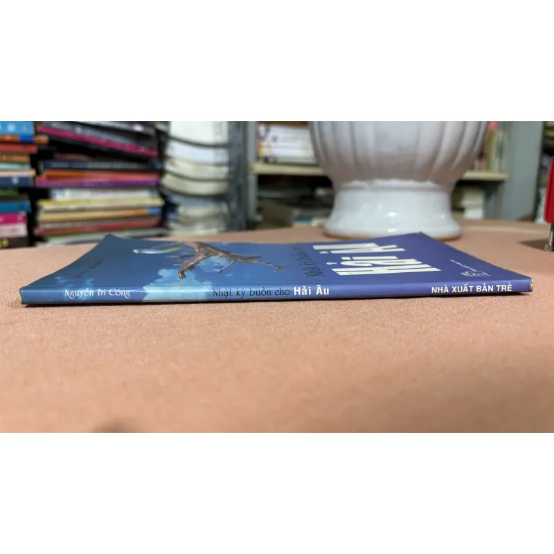 Nhật ký buồn cho hải âu 🌊 749446