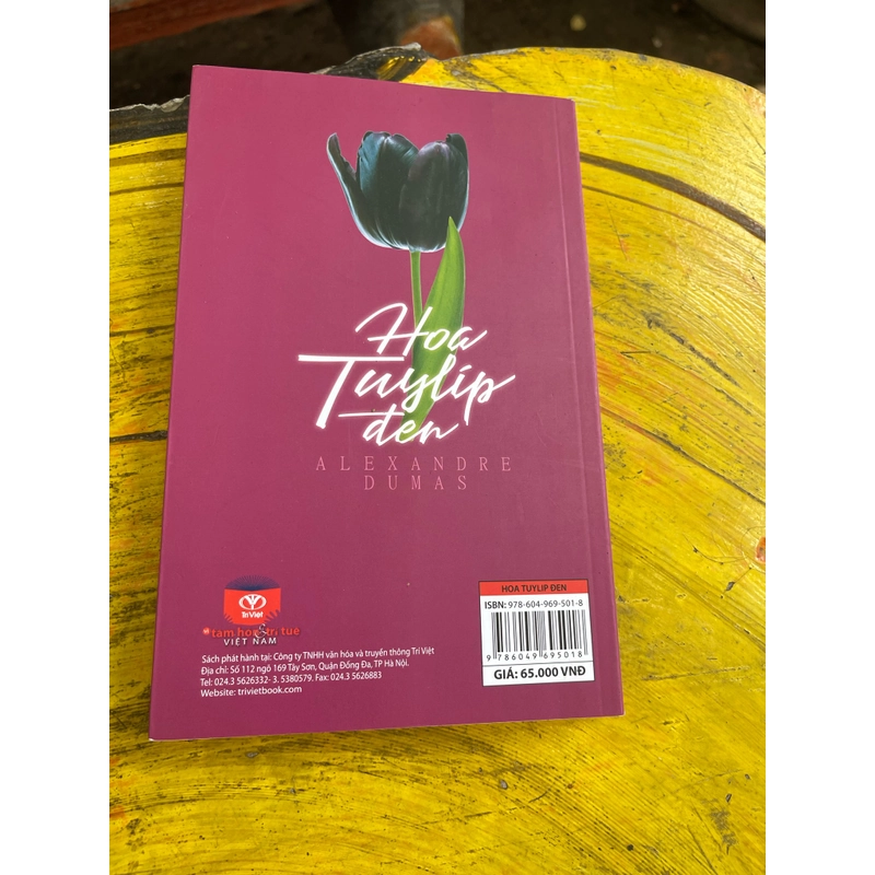 Combo Trà hoa nữ- Hoa Tuylip đen- Alexandre Dumas 476429