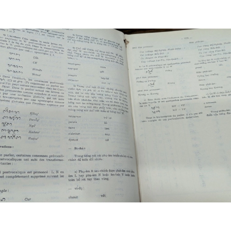 Dictionnaire căm - vietnamien -francaise 527831