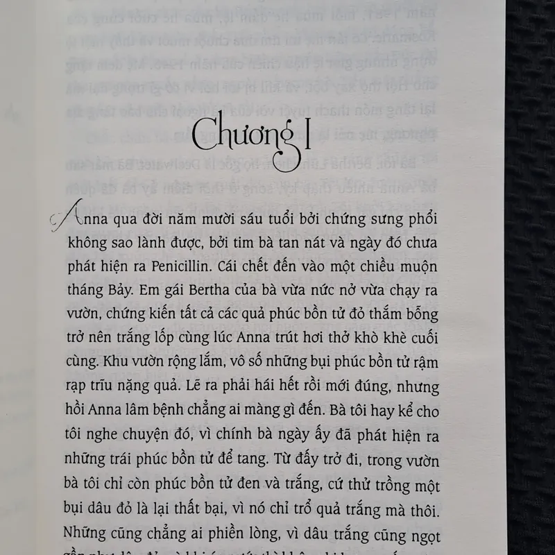 Vị Hạt Táo - Katharina Hagena 574847