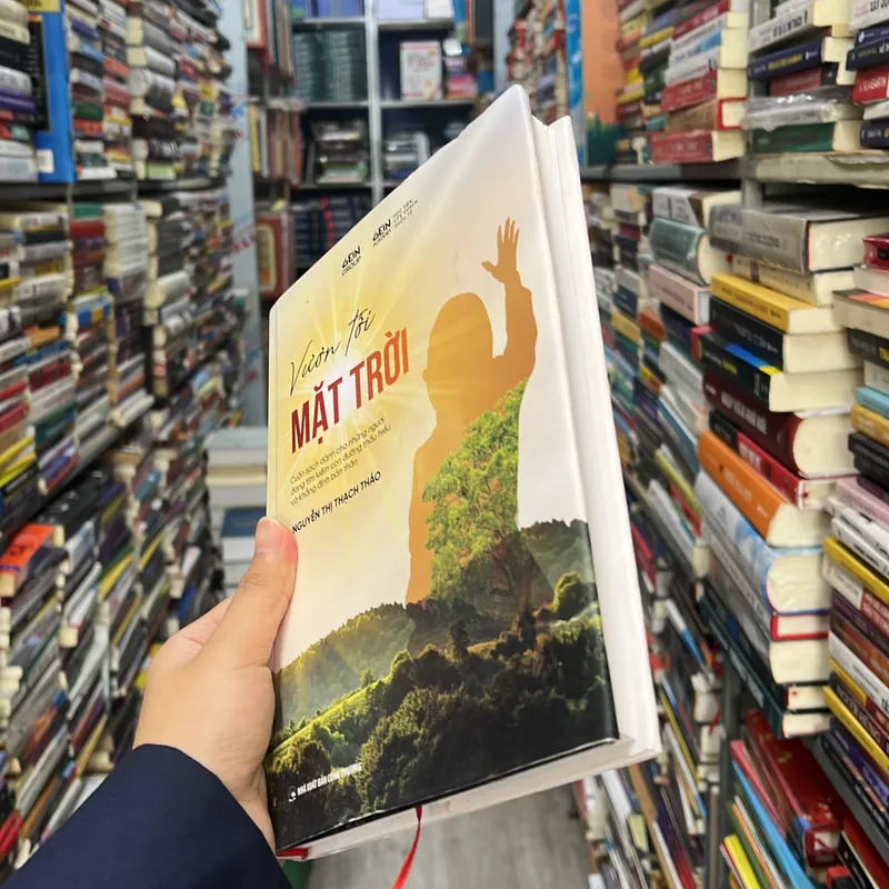 Vươn tới mặt trời  557278