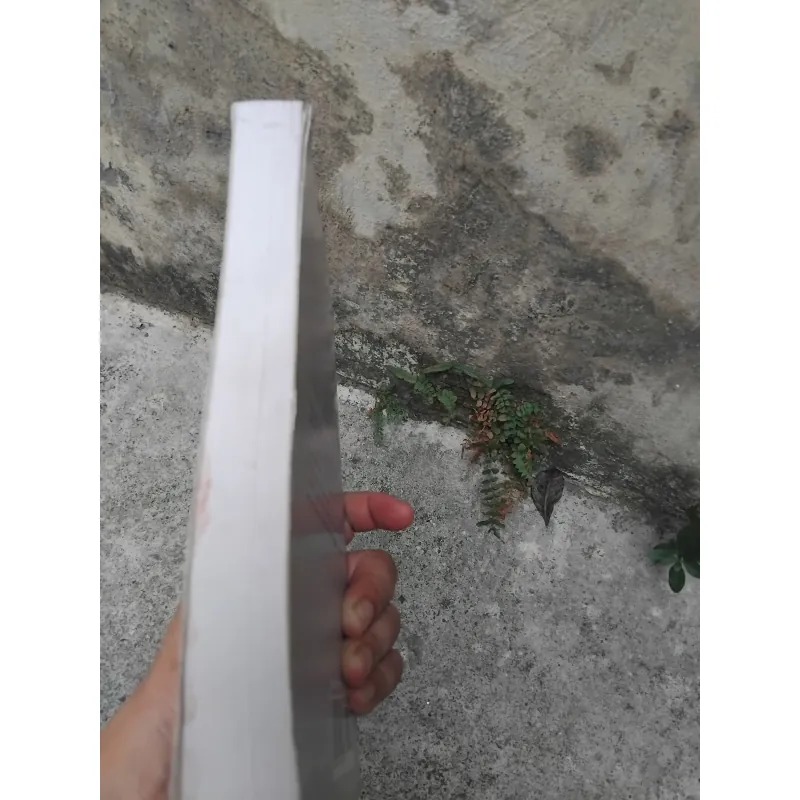 Amerca 's role in Asia ( Asian and American views ) 1021842