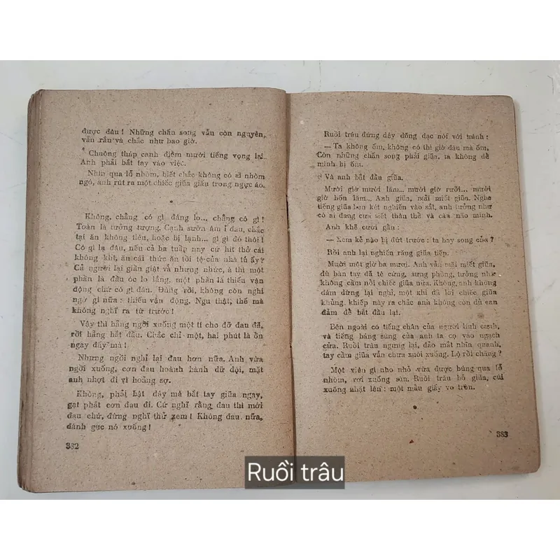 Tác phẩm văn học kinh điển RUỒI TRÂU (Ethel Lilian Voynich
) 719083