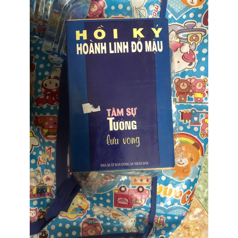 hồi ký hoàng linh đỗ mậu 379084