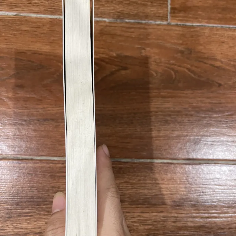 Thần, người và đất Việt - Tạ Chí Đại Trường (8) 1004053